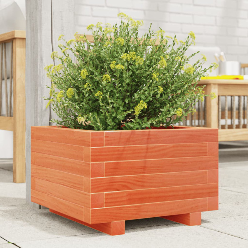 Bhavika Planter Box, 10.43" H x 15.75" W x 15.75" D, Wax Brown