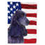 2 côtés en polyester de 2 côtés american drapeau de jardin-1288238508