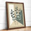 Three Studies Botanical - Framed Print-1954794174-1954794173