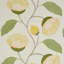 Celinda Embroidery Fabric-50800585