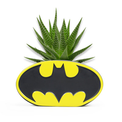 Ceramic Plant Pot