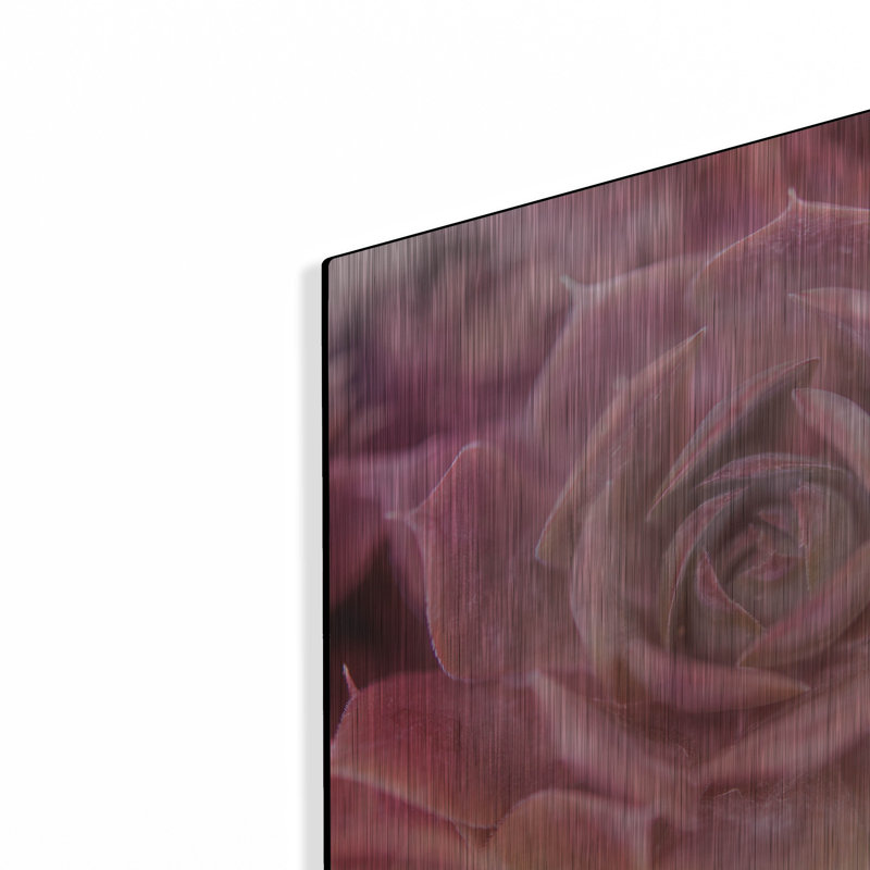 Succulents 04 par Lightbox Journal, H 12 po x l 12 po