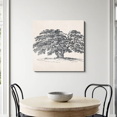 «Wide Oak Tree S Croquis» par Apolo