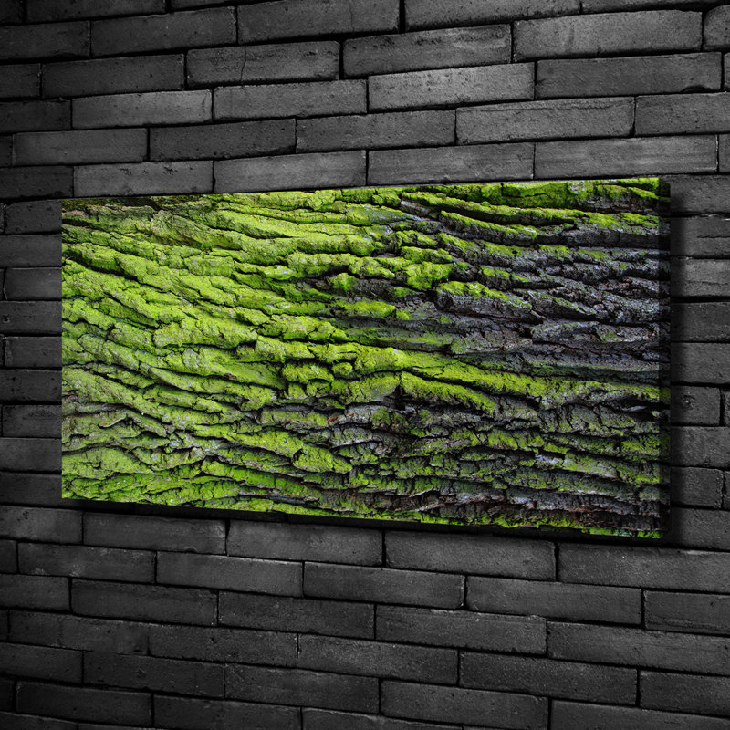 Tree Bark - Print, 50cm H x 100cm W x 2cm D, Canvas