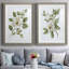 «Magnolia Morning I», reproduction encadrée de qualité supérieure - prête à être accrochée-152898346-152898350
