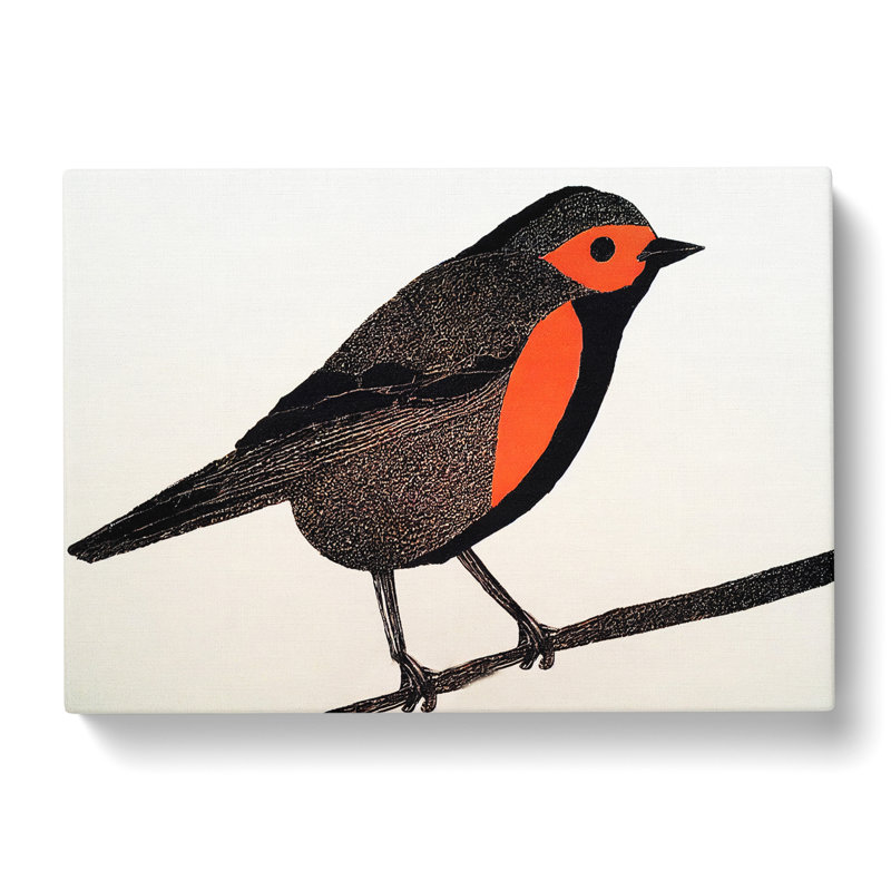 Shining Robin Bird - Wrapped Canvas, 40cm H x 60cm W