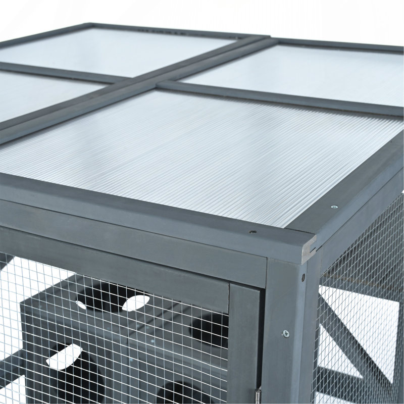 Tablettes d'extérieur pour chat Catio