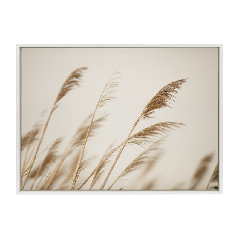 « Marsh Grass No 8 » de Crystal Lynn Collins – Reproduction sur toile encadrée, L 38 po x H 28 po