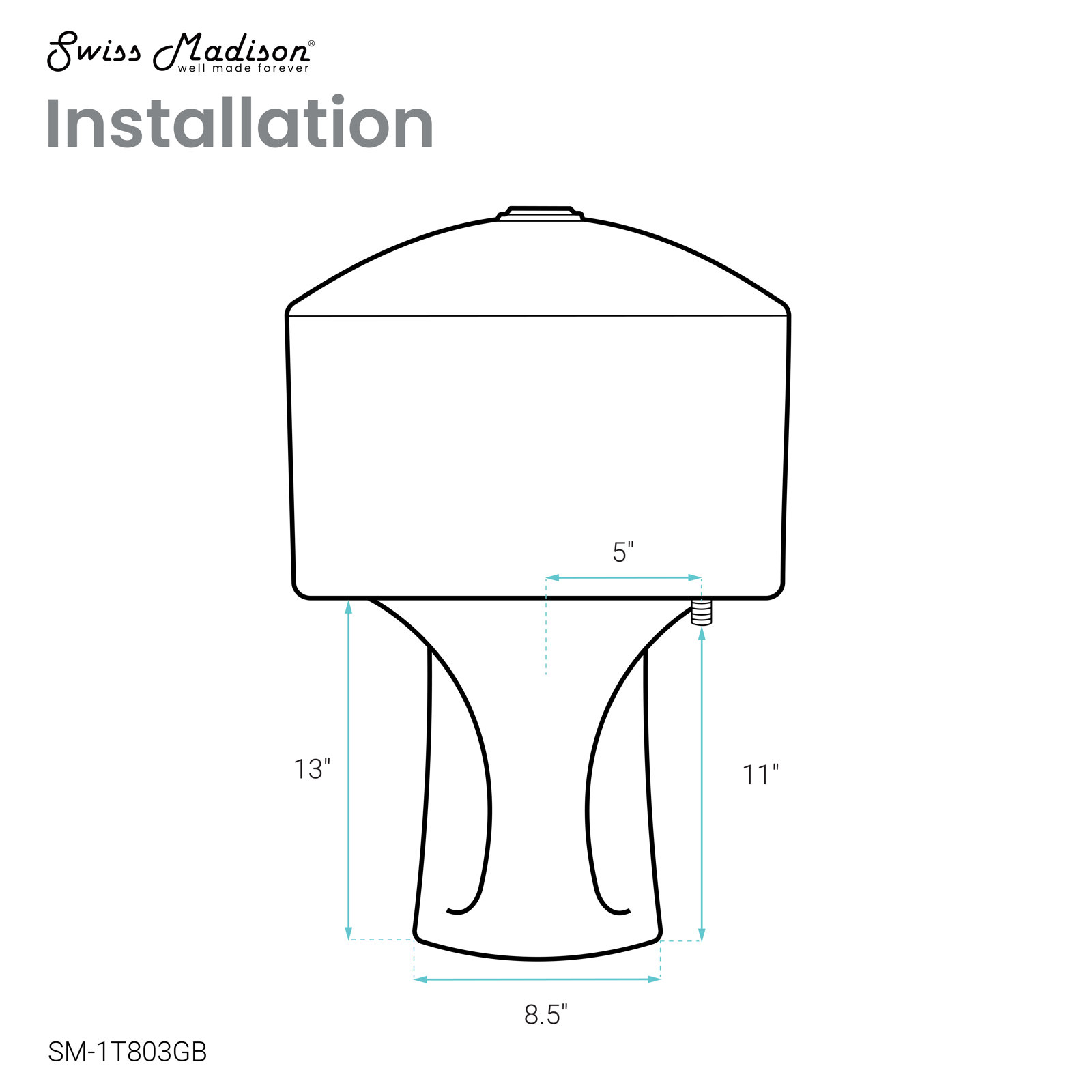 Château 1-Piece Dual-Flush Toilet, Black