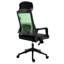 Biddick Polyester Blend Office Chair with Headrest-1012889317
