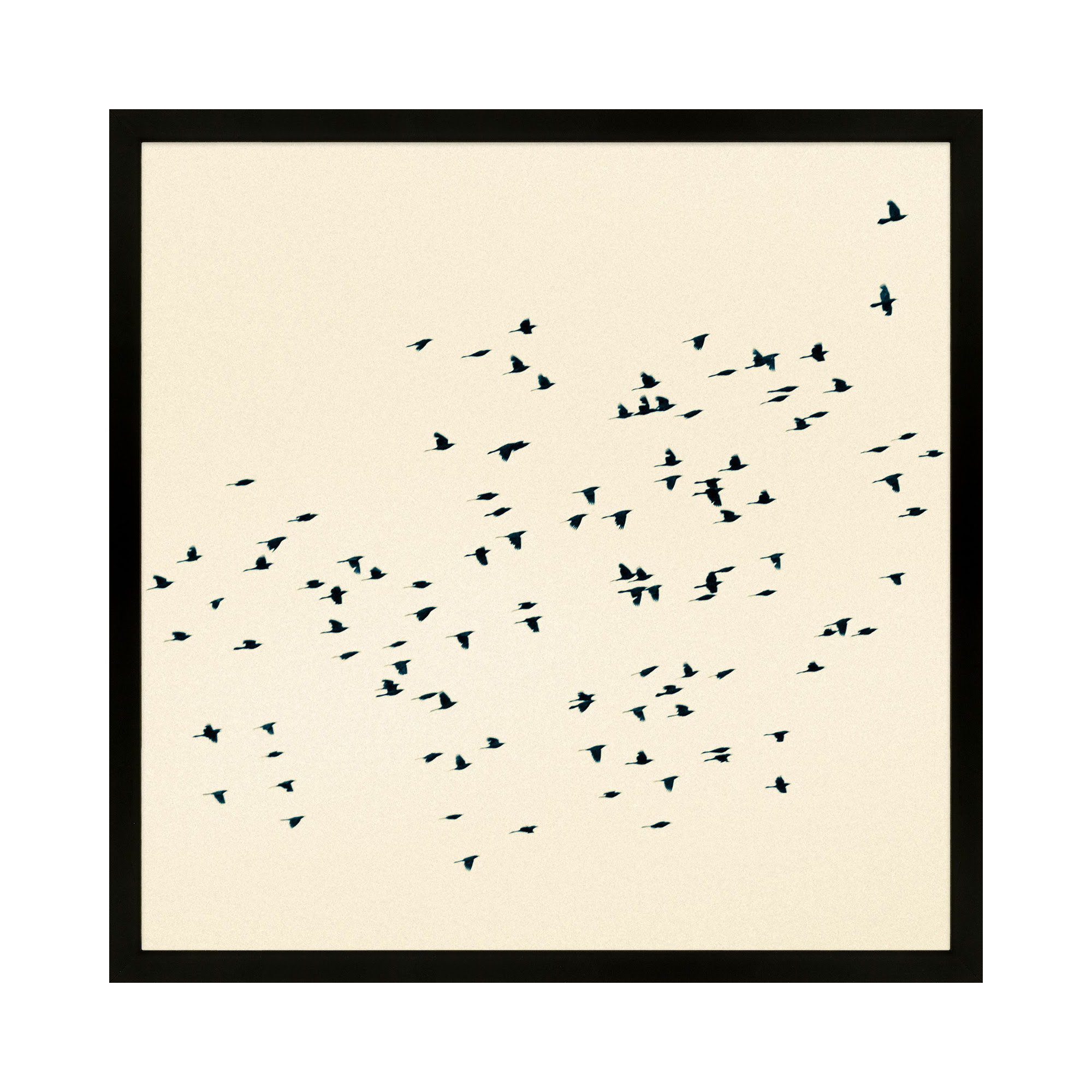 Soaring by Peter Dušek, Black, 30" H x 30" W x 1.25" D