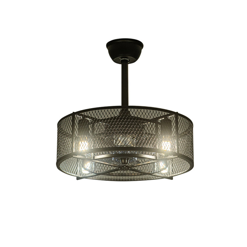 Ceiling Fan with LED Lights