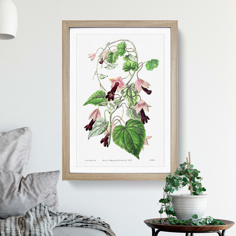 Purple Bell Vine Flowers - Framed Print, 36cm H x 27cm W x 2cm D, Oak Framed