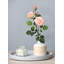 Arrangement de roses