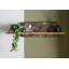 STARNBERG Floating Shelf