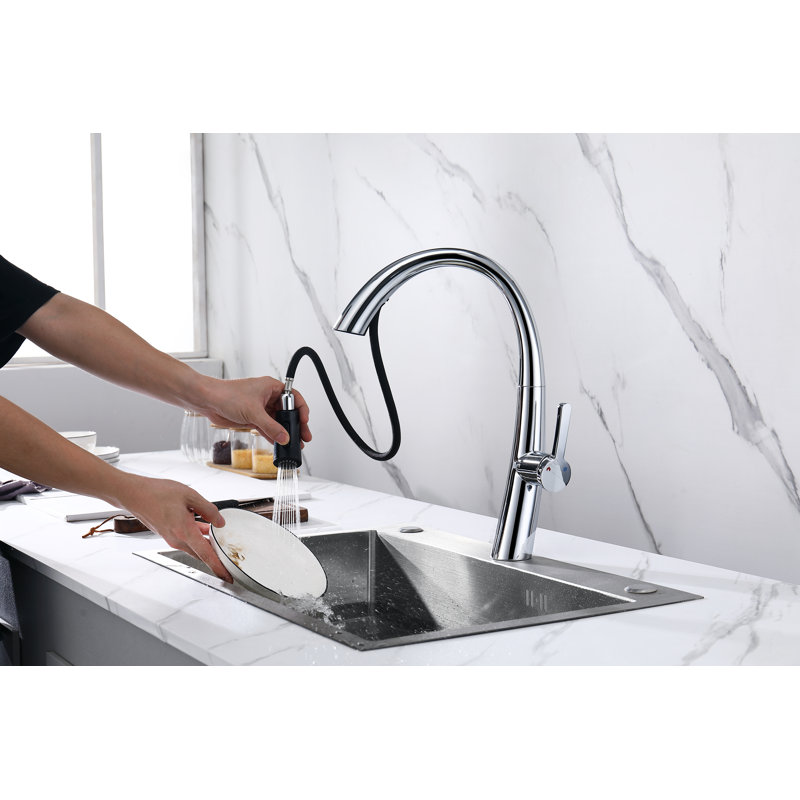 CERYPSA Pull Out Kitchen Faucet, Chrome