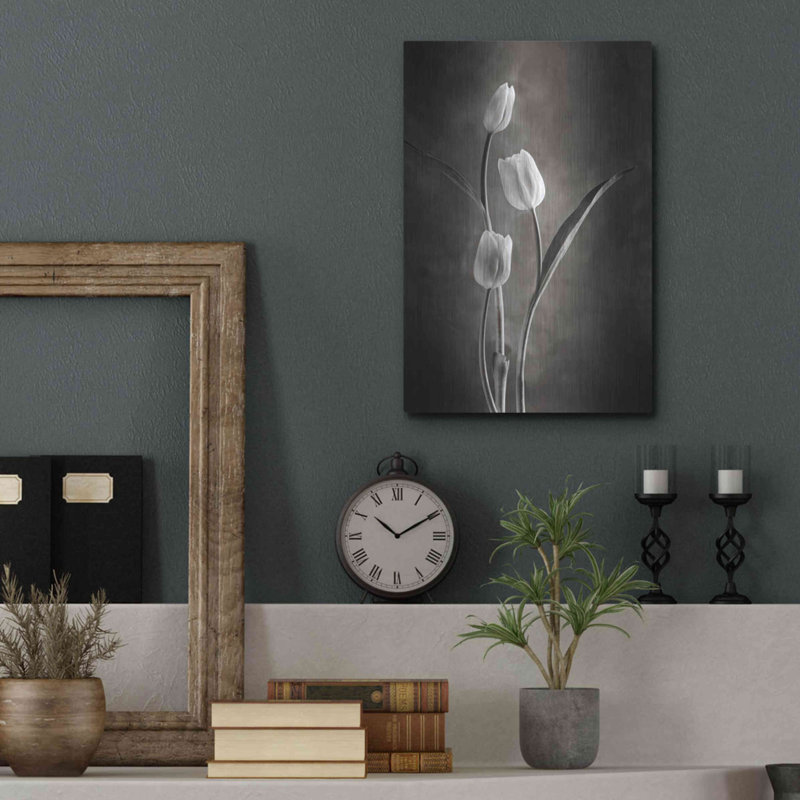 «Two Tone Tulips VIII» par Debra Van Swearingen, H 16 po x l 12 po