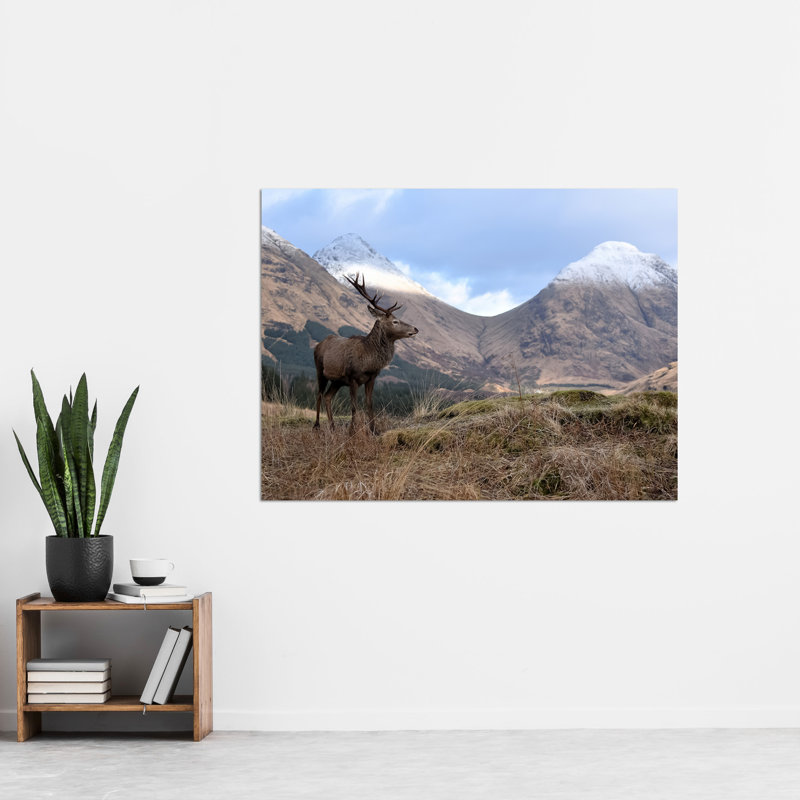 Andrewmckie Red Deer Stag Glen Etive Scotland by Andrewmckie - No Frame Art Prints