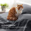 Ensemble de draps légers en microfibre de luxe ultra doux et infroissable avec poches profondes-112490438-112490445
