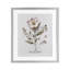 «Pressed Flowers Relax», reproduction encadrée sous verre encadrée-467505683-467505687