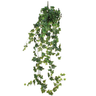 129cm Ivy Plant