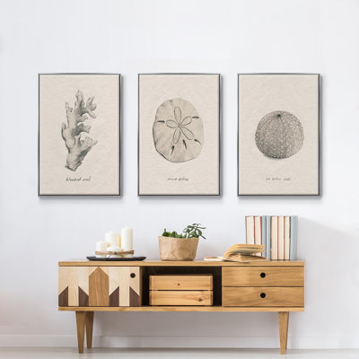 Shore Treasure Study I, reproduction encadrée sur toile 3 pièces