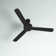 Ohare 58'' Ceiling Fan