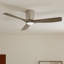 Ventilateur de plafond 54 po Volos-82941941