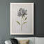 Belisma Botanical Beauty II, reproduction d'art sur toile-88380718-88380719