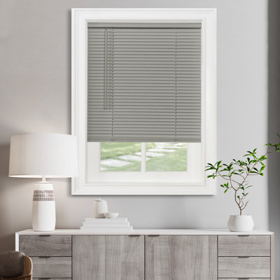 Semi Sheer Vinyl Mini Blinds - Basics by Wayfair™