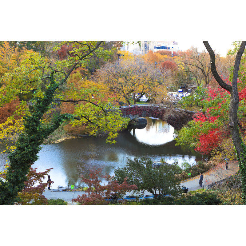 Winter In Central Park by Pawel.gaul - Wrapped Canvas Print, 61cm H x 91cm W x 3.8cm D