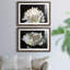 ALL AFLUTTER - ensemble de 2 reproductions-1761994152-1761994158-1778156556