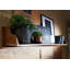Nature of Spirit Wall Shelf