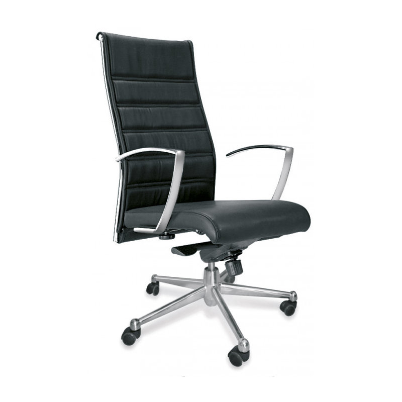 Baglieri Peltex Executive Chair, 119" H