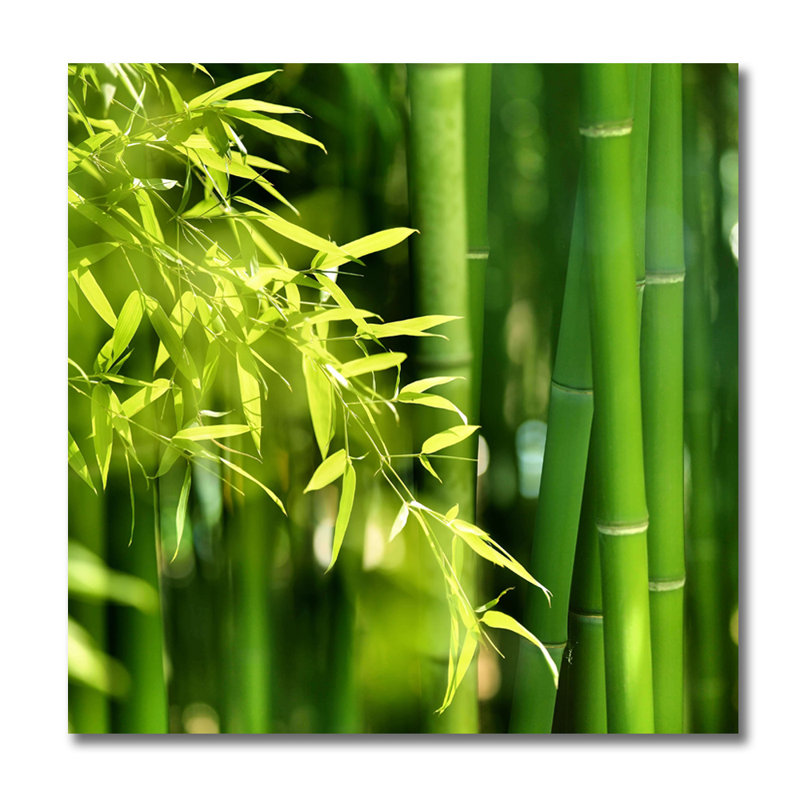 Bamboo Zen Print, 56" H x 56" W x 1.5" D, Aluminum