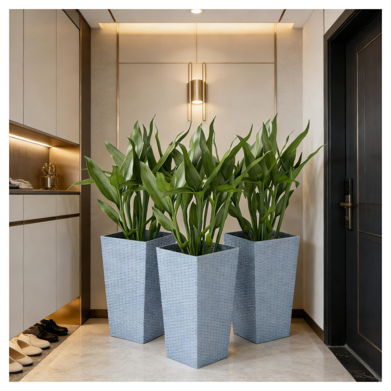 Ensemble de 3 pots à fleurs en rotin gris clair de style rotin clair