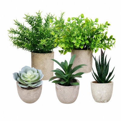 Lot de 5 plantes artificielles en pot assorties, mini-plantes vertes et succulentes artificielles dans des pots en PE aspect ciment, plantes de table artificielles pour salle de bain, bureau, étagère, décoration intérieure