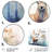 Rustic Animals Wall Decor on Metal