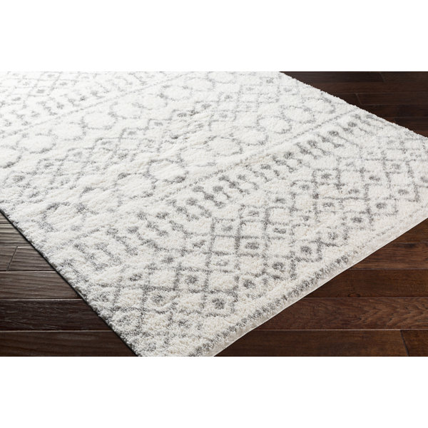Foundry Select Mott Performance Rug & Reviews | Wayfair