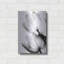 Tulipes translucides II par Debra Van Swearingen-1421801592