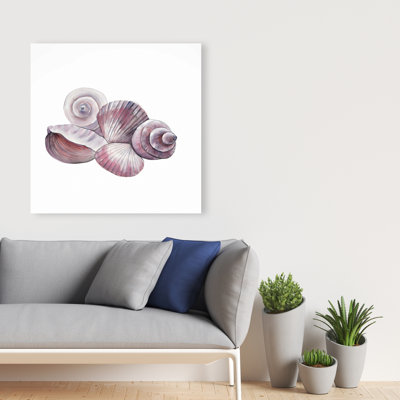 Seaside Shells - Marine Livingroom Canvas for Home Decor