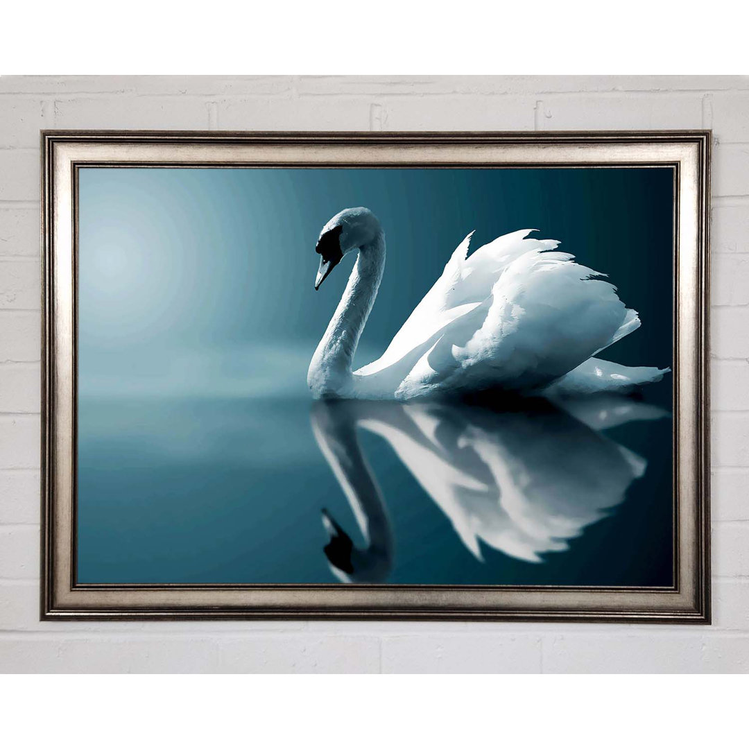 Reflections Of A Swan - Druck