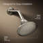 Memoirs Full/Standard Fixed Shower Head-934625254