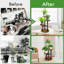 Plant Stand