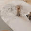 Simmerman-336823297