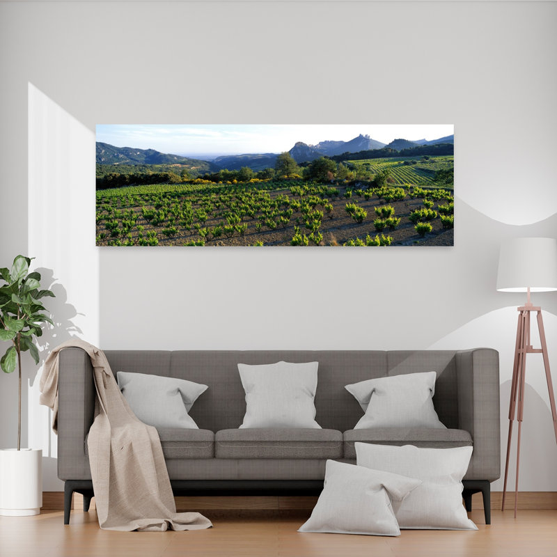 «Vineyard Dentelles De Montmirail», art contemporain contemporain, H 20 po x l 60 po
