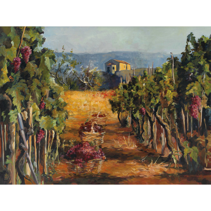 " Rhone Valley Vineyard ", 30" H x 40" W  