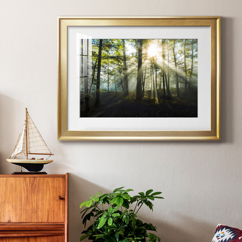 Light and Trees - Photographie avec cadre photo, Cadre doré, H 26,5 po x l 36,5 po x P 1,5 po