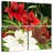 Harnek Deck The Halls