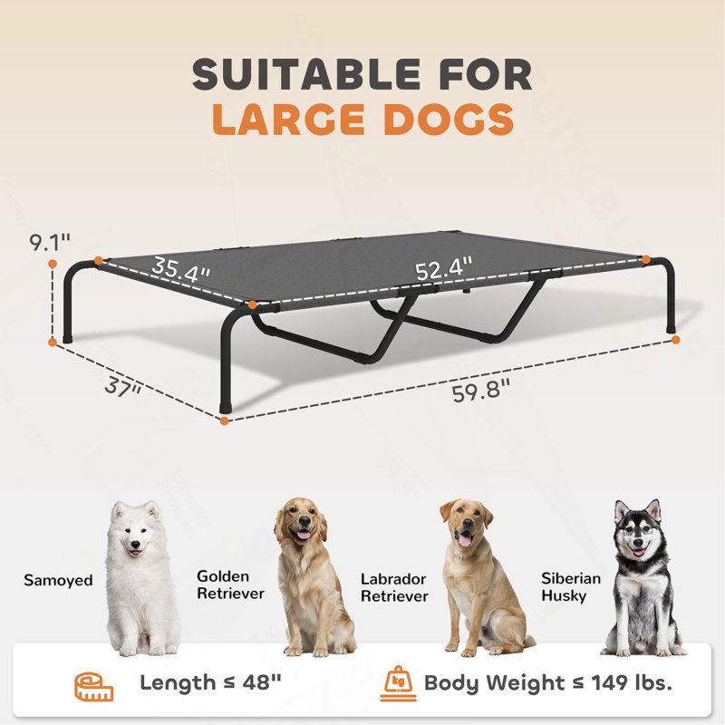 Lit pour animal de compagnie, lit surélevé pour chien, Noir/gris